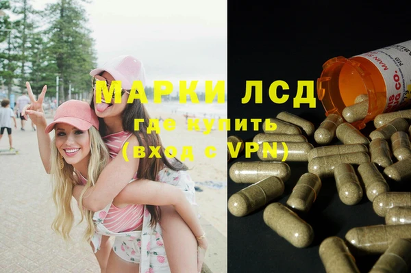 стафф Сатка